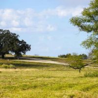 Long Hollow Ranch images 4