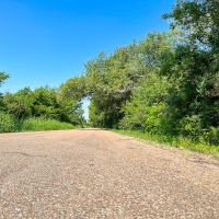 103 Acres County Road 328 images 2