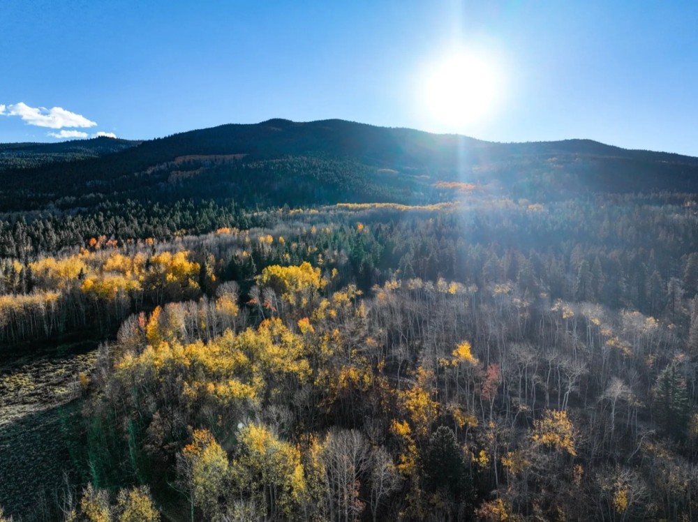 Twin Lakes Ranch featured image