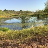 New Listing 32.45 - Acres Eastland County images 1