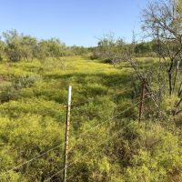 New Listing 32.45 - Acres Eastland County images 2