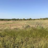 New Listing 32.45 - Acres Eastland County images 3