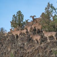 The Stanley Ranch images 3
