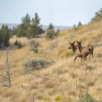 The Stanley Ranch images 5