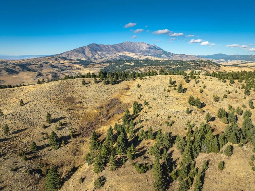 The Schmidt Ranch featured image