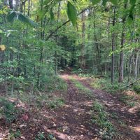 42 acres Adirondack Hunting Land Stratford NY images 2