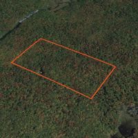 42 acres Adirondack Hunting Land Stratford NY images 4