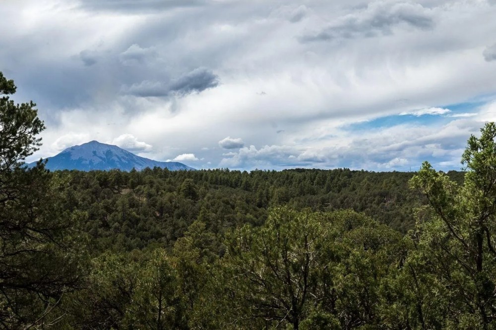 56 Blackhawk Ranch featured image