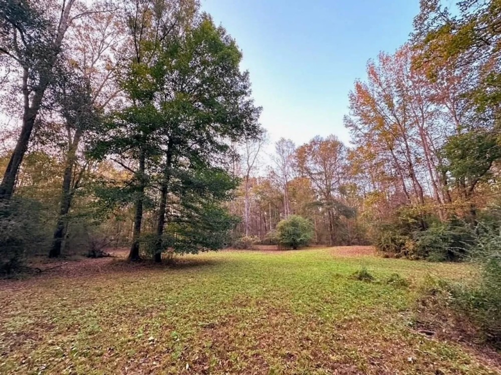 Small Acreage in Summit MS for Sale featured image