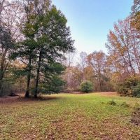 Small Acreage in Summit MS for Sale