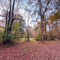 Small Acreage in Summit MS for Sale images 3