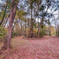 Small Acreage in Summit MS for Sale images 4