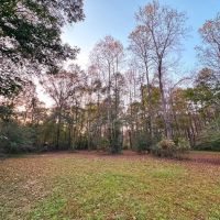 Small Acreage in Summit MS for Sale images 5