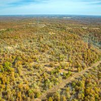 Dozer Deer Camp
