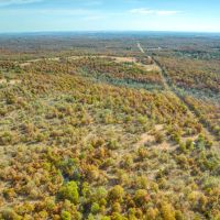 Dozer Deer Camp images 4