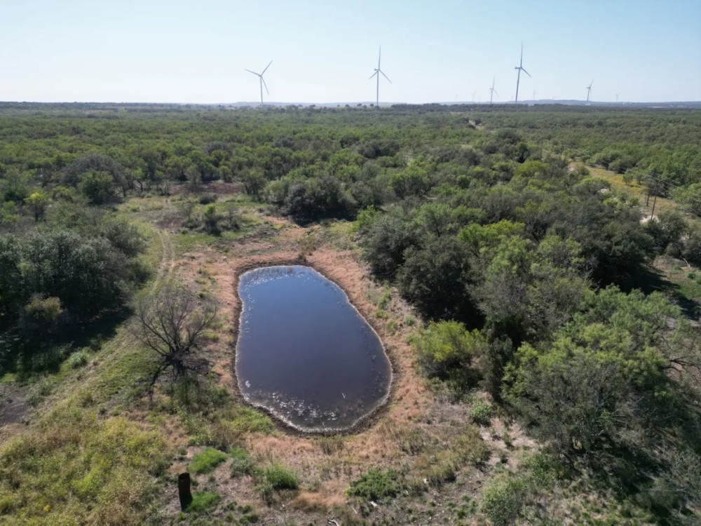 New Listing 47.29 - Acres Callahan County featured image
