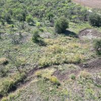 New Listing 47.29 - Acres Callahan County images 2