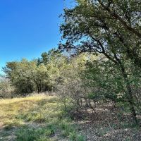 New Listing 47.29 - Acres Callahan County images 3