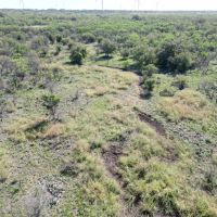 New Listing 47.29 - Acres Callahan County images 4