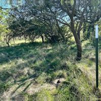 New Listing 47.29 - Acres Callahan County images 5