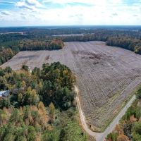 77 Acres of Agricultural Recreational Residential Land for Sale in Surry County VA images 2