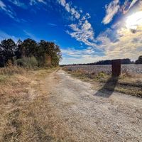 77 Acres of Agricultural Recreational Residential Land for Sale in Surry County VA images 3