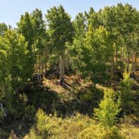 834 Acres Multiple Cabin Ponds Springs GMU 61 and 62 in Colorado images 3