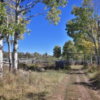 834 Acres Multiple Cabin Ponds Springs GMU 61 and 62 in Colorado images 4