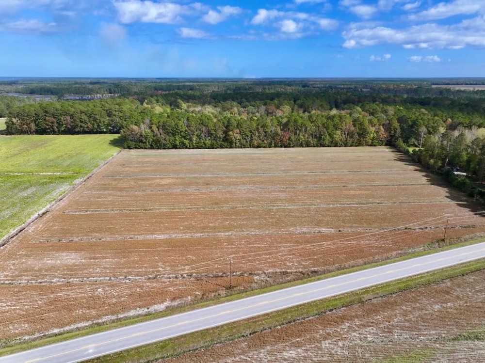 16.3 Acres of Agricultural and Timber Land For Sale in Pamlico County NC featured image