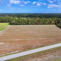 16.3 Acres of Agricultural and Timber Land For Sale in Pamlico County NC