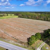 16.3 Acres of Agricultural and Timber Land For Sale in Pamlico County NC images 2
