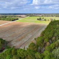 16.3 Acres of Agricultural and Timber Land For Sale in Pamlico County NC images 4