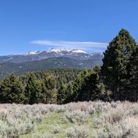 TBD Bivens Creek Ridge Road Sheridan MT 59749