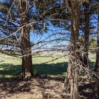 TBD Bivens Creek Ridge Road Sheridan MT 59749 images 5