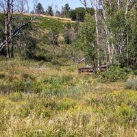 Whispering Pines images 3