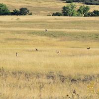 Pounds Ranch images 1