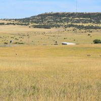 Pounds Ranch images 4
