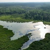 Parcel A-2 40 Acres 50160028