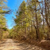 36 Acres Paces Creek T3077-15