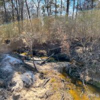 36 Acres Paces Creek T3077-15 images 5