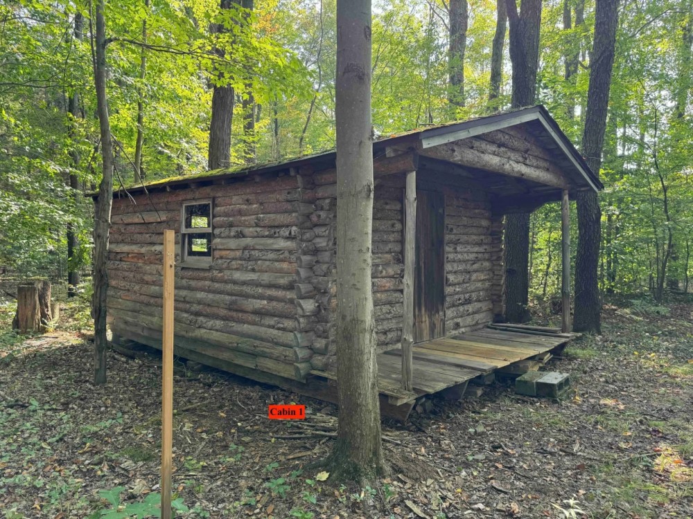 2 Log Cabins on 3 acres of Recreational Land in Randolph NY NY-242 featured image
