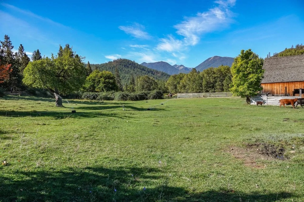 Lil Bit of Heaven Ranch featured image