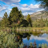 Lil Bit of Heaven Ranch images 2