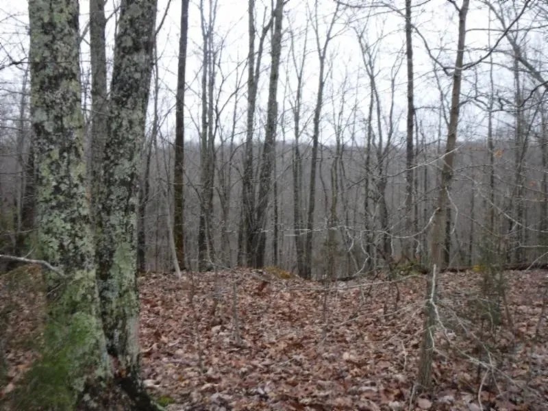 5.05 AC W MTN VIEWS IN A PRIVATE SECLUDED COUNTRY LOCATION featured image