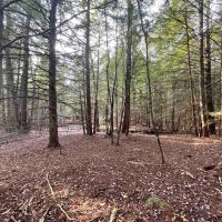 23 acres Woodlands and Recreational Land in Ellenville NY Camp Road