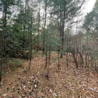 23 acres Woodlands and Recreational Land in Ellenville NY Camp Road images 4