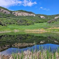 Papoulis Canyon Ranch