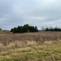Tillable land Hunting Land And Buildable Ripon WI images 3