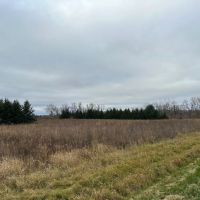 Tillable land Hunting Land And Buildable Ripon WI images 4