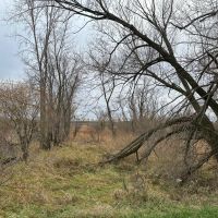 Tillable land Hunting Land And Buildable Ripon WI images 5